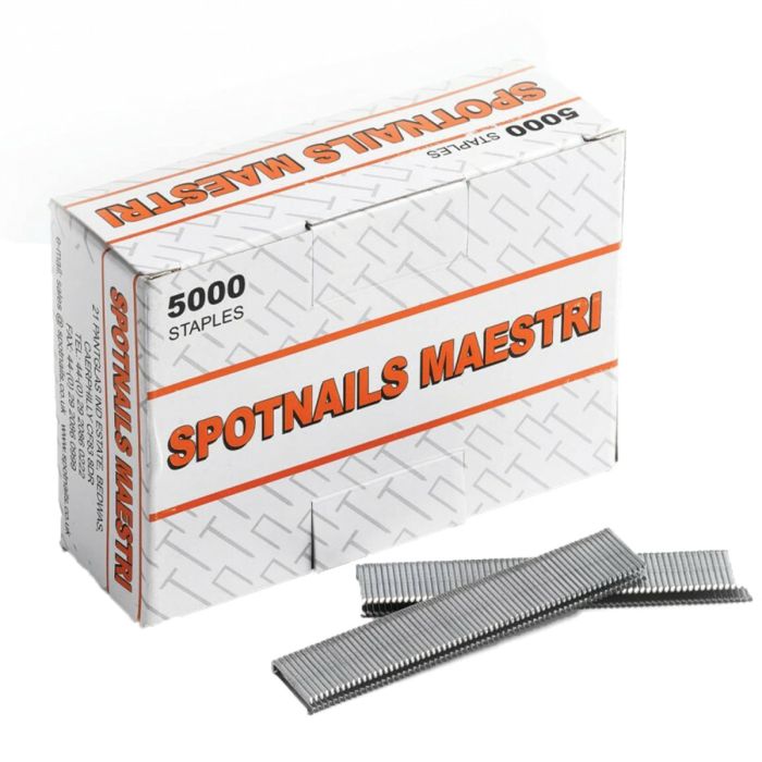 Maestri Spot staples 5/8" 16mm Galvanised 55DC (513K)