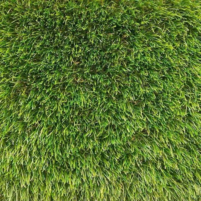 DMS Essentials Elite Grass