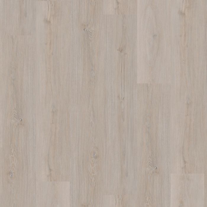 Brampton Chase Metro Trends