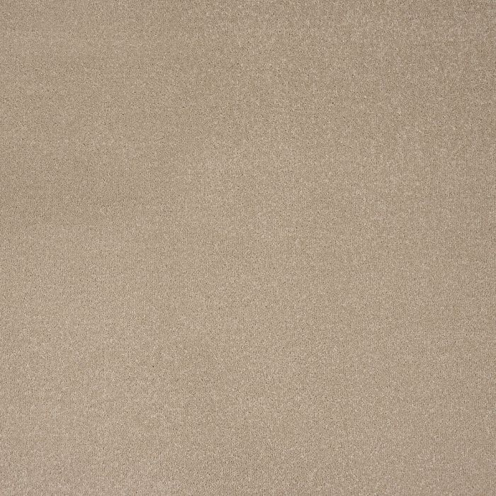 Stainfree Ultra 5m
