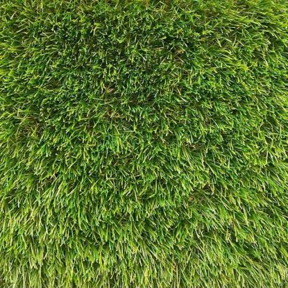 DMS Essentials Elite Grass